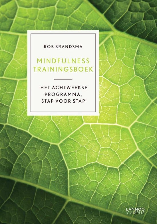 Mindfulness trainingsboek - Rob Brandsma